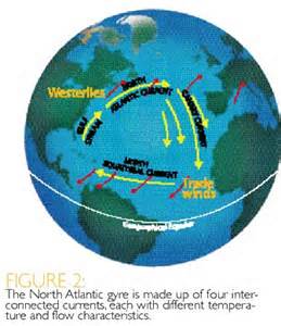North Atlantic Current Gyre