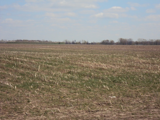 Flatland near Batavia (Bountiful)