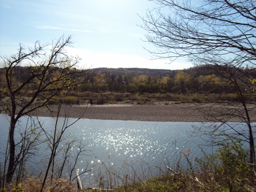 Genesee River east of the land of Nephi