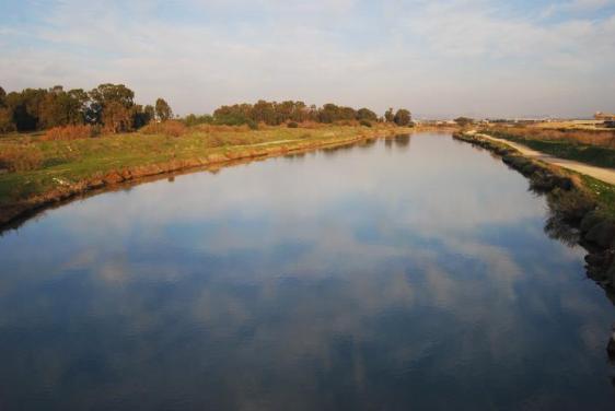 Kishon Brook