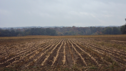 Looking South from the Cattaraugus River Corridor