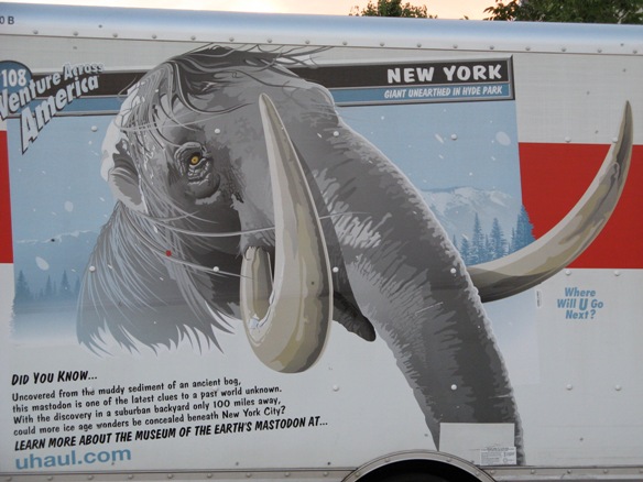 NY Mastodon