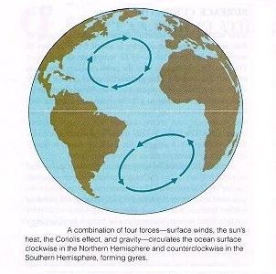 Ocean Currents and Coriolis Effect