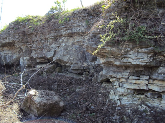 Onondaga Escarpment near Clarendon-Linden Fault