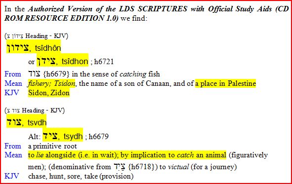 The meaning of Tsidon